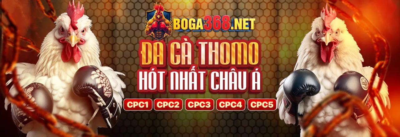 Tin tức mới nhất từ gk88bet trang chủ chính thức